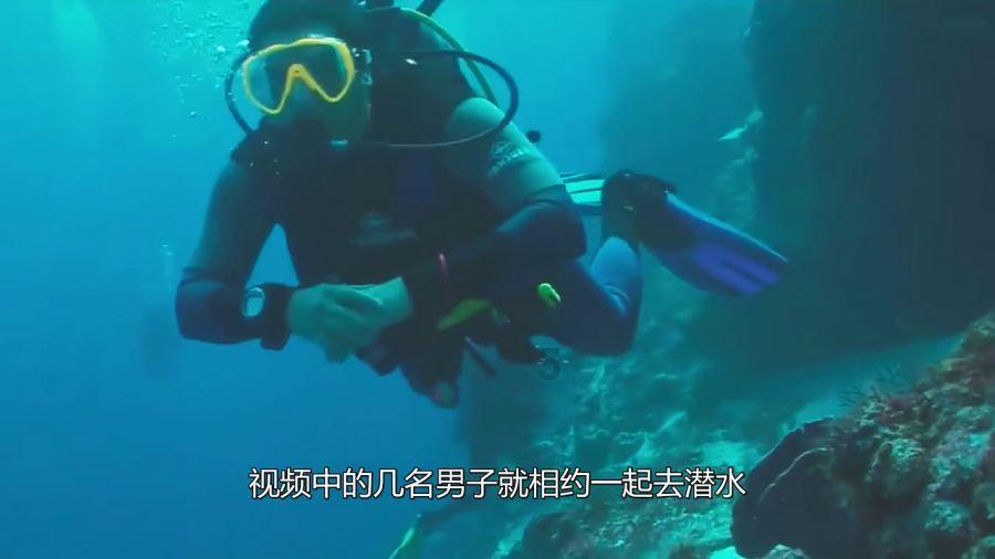 孤岛先锋
