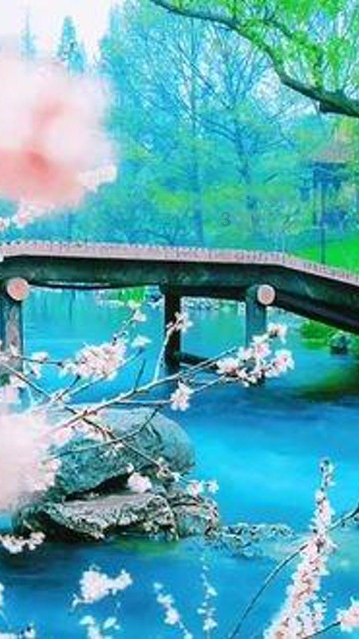 燃烧吧大脑装瓶子游戏